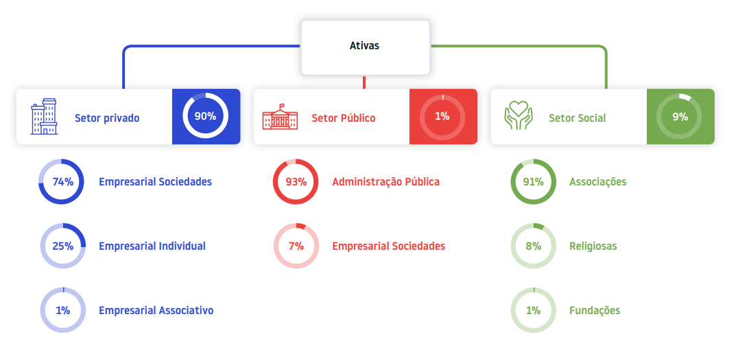 Organização da base de dados por natureza da atividades das entidades