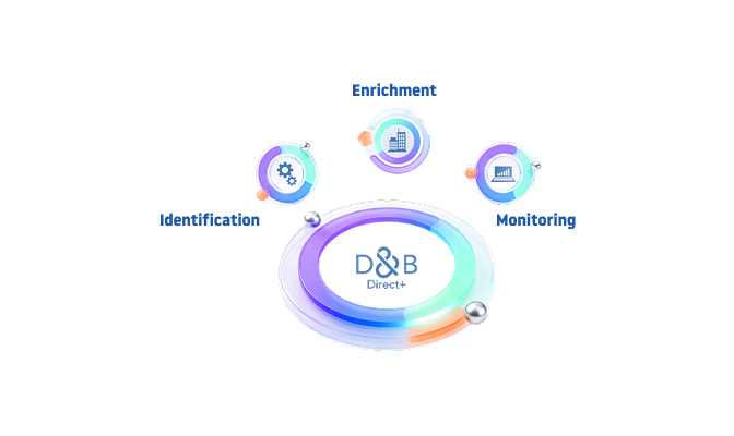 DIRECT PLUS API INTERNACIONAL 2 EN